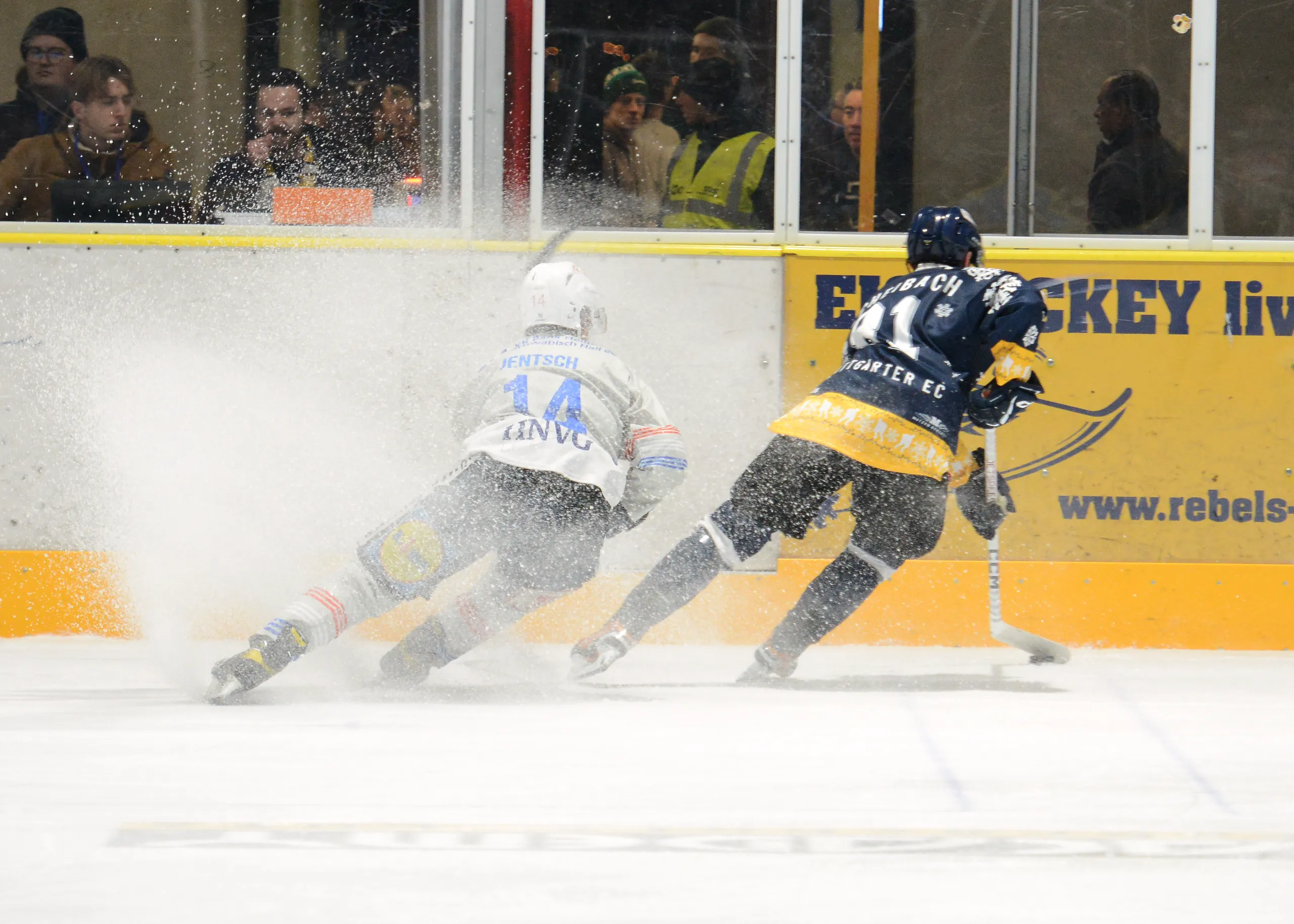 Titelbild Volle Halle auf der Waldau