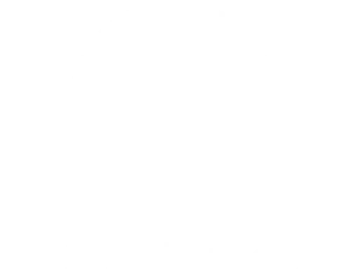 Emil Frey Automobile GmbH