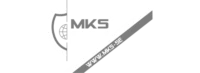 MKS Security