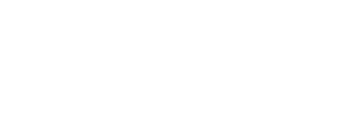 SCHNIER Elektrostatik